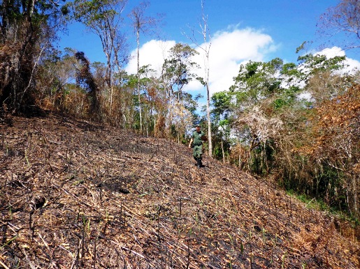 110 queimada