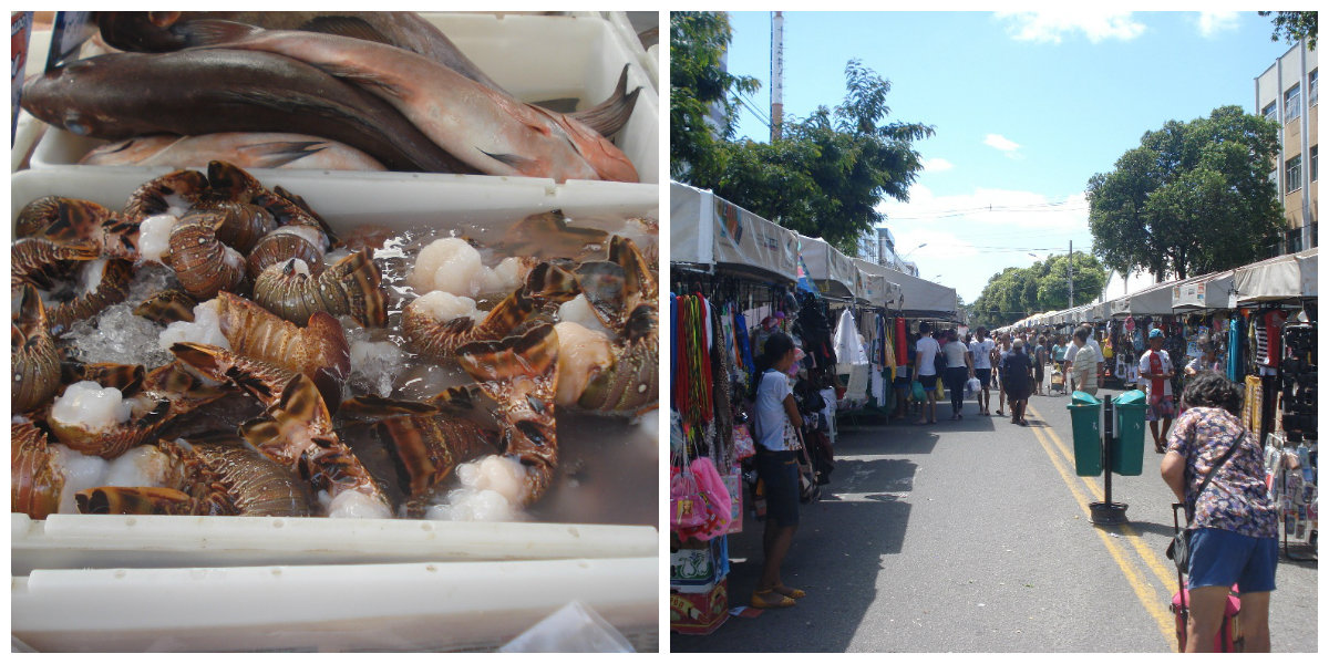 BPMA feira