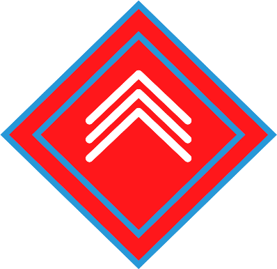 CHS_distintivo 181016,