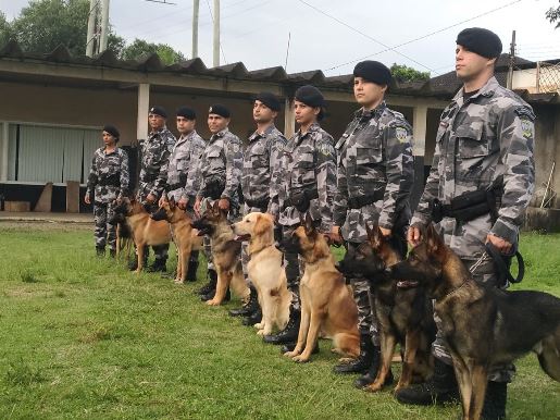 Ceoc 2007