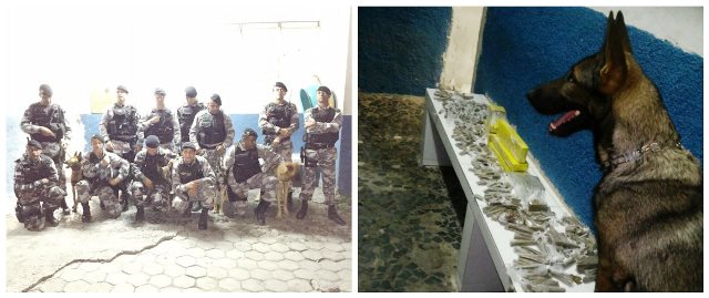 Cobi de Baixo 050815