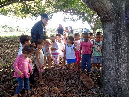 EducaçãoAmbientalSãoMatheus_max