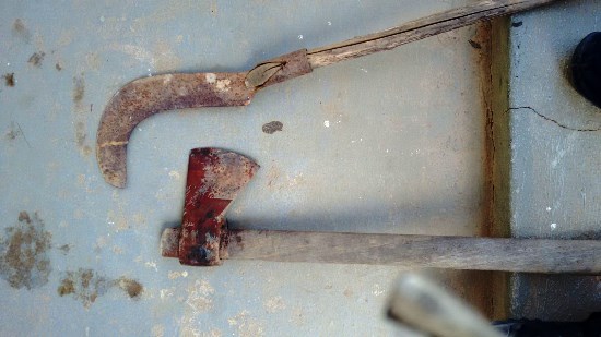 IMG-20160309-WA0006