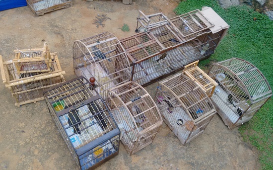 IMG_20170310_152036768edit