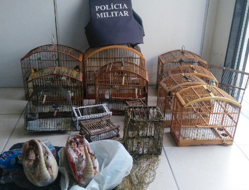 Pássaros e caça apreendidos em Vargem Alta