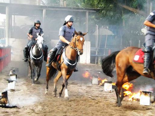 Release Cavalaria