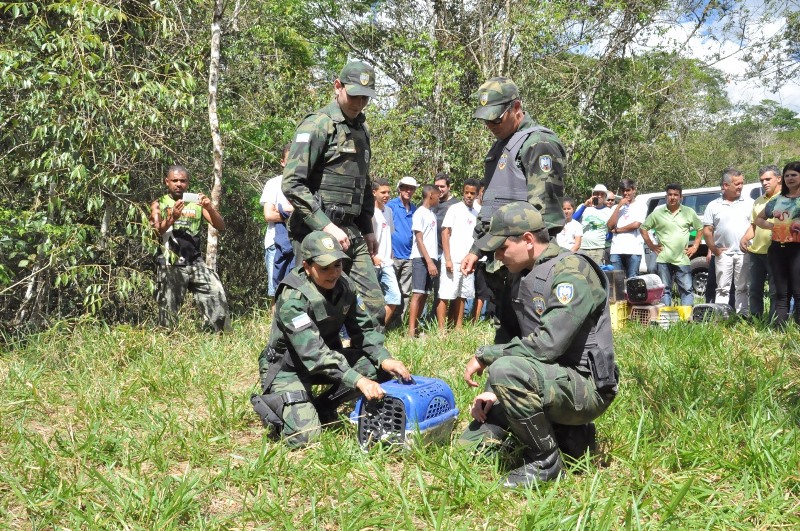 SEMMAM SOLTURA (8)