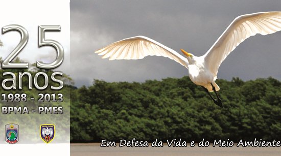 Seminário BPAM edit