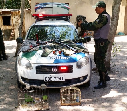 apreensão de arma de fogo e animais em são mateus