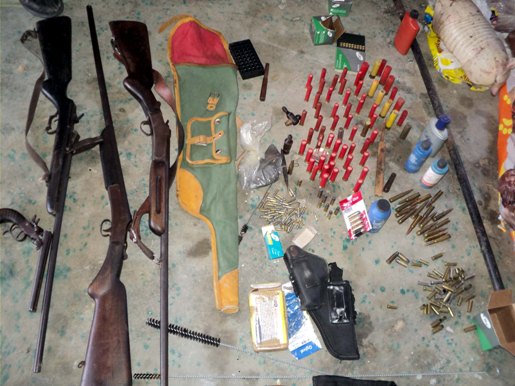 apreesao caça e armas