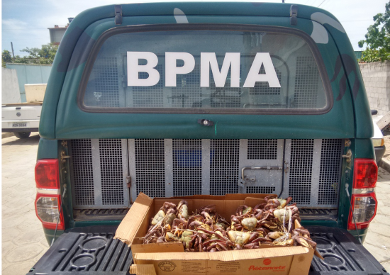 bpma_16_cara