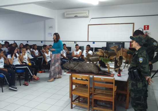 bpmasaomatus_max
