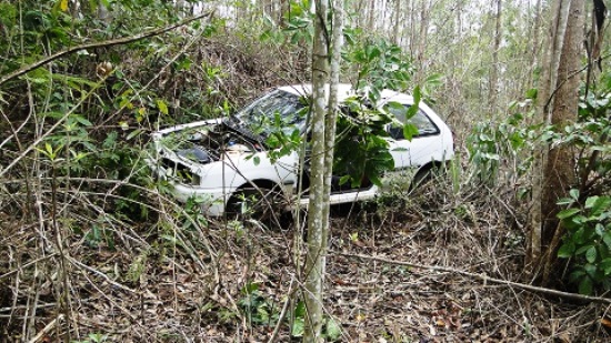carro 190815