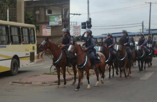 cavalaria mat 127
