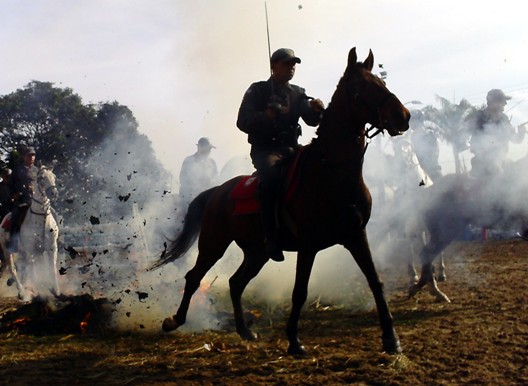 cavalaria