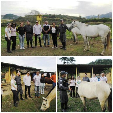 collage equoterapia
