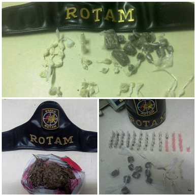 collage rotam 110815
