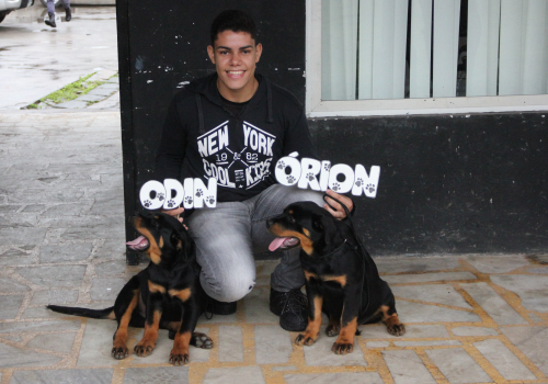 dia_cachorreiro