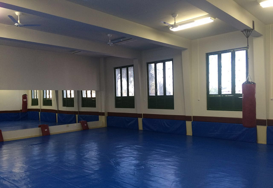 dojo 2906