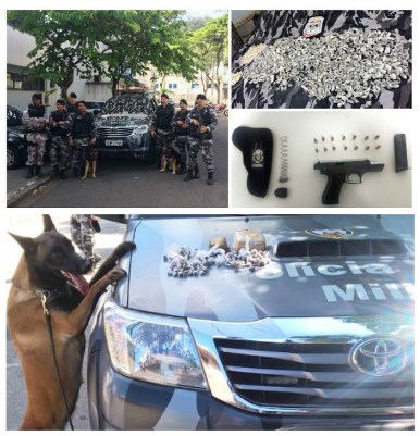 drogas armas canil 0401