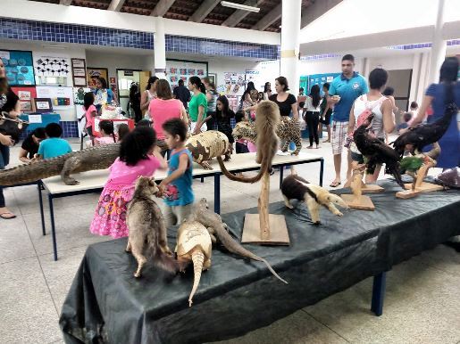educação ambiental cmei joao bubach cariacica 1