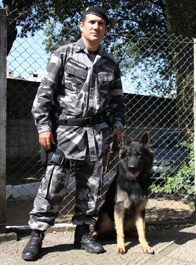 mat 167 cão BME EDIT