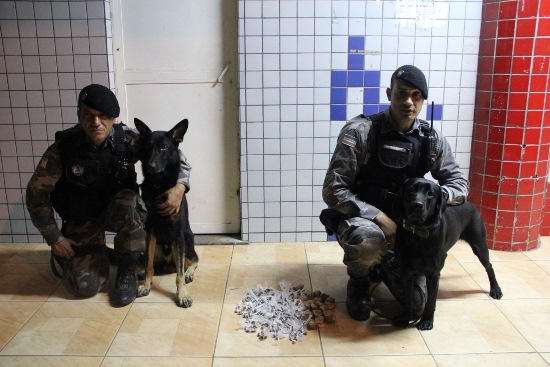 mat 176 cães edit