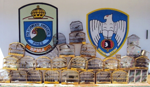 materia 134 mes 09 edit