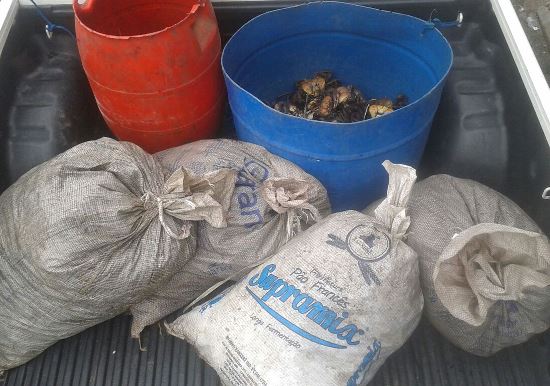 materia102mes032017edit