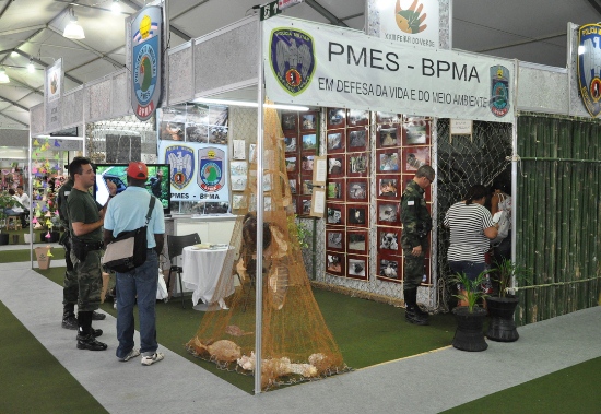 materia163mes11edit