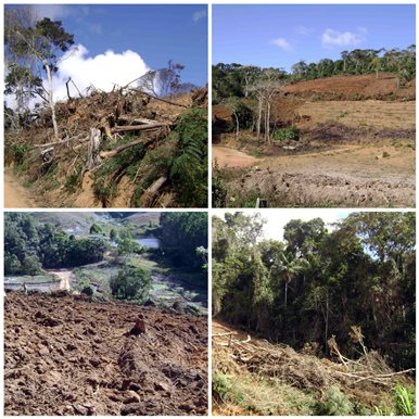 materia165mes072014edit