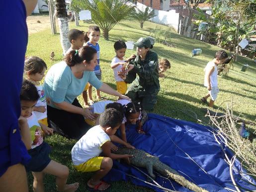 materia174mes082014edit