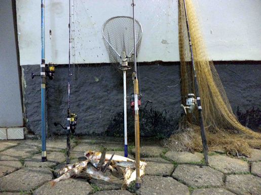 materia183mes012014edit