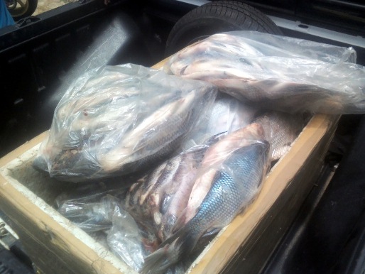 materia190mes012014edit