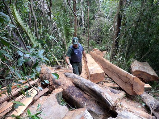 materia215mes122013edit