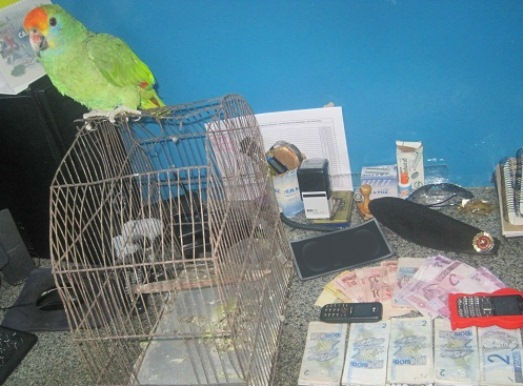 materia232mes012014edit