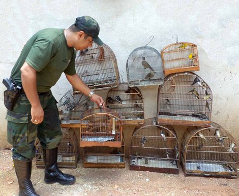 materia42mes122013edit