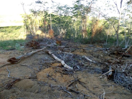 materia48mes122013edit