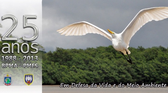 materia77mes122013edit