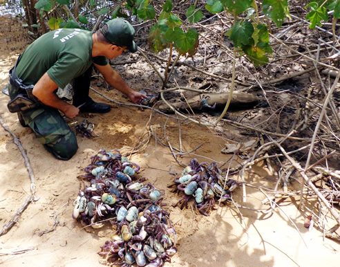 materia92mes032017edit