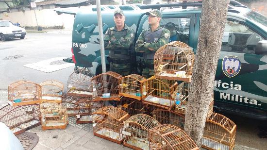 pássaros em cativeiro em Vitória (1)