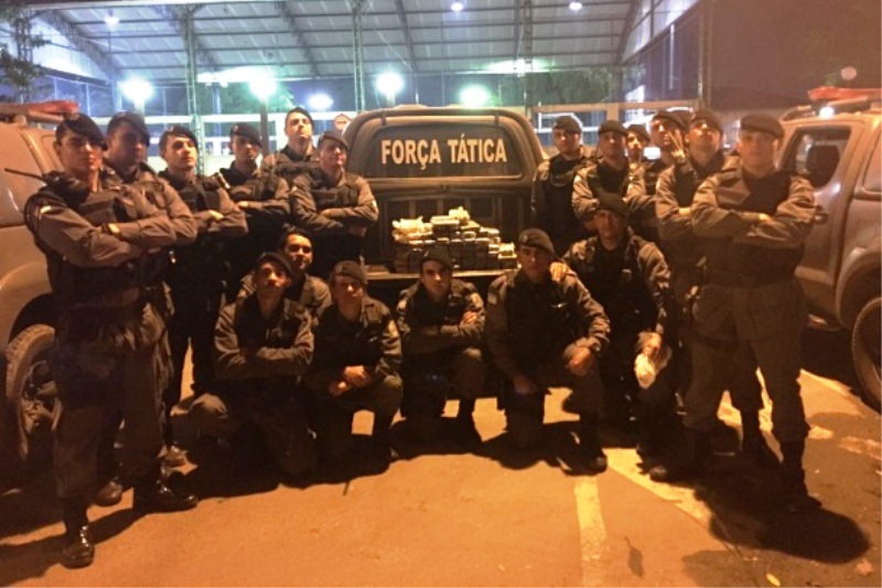 sfnsc