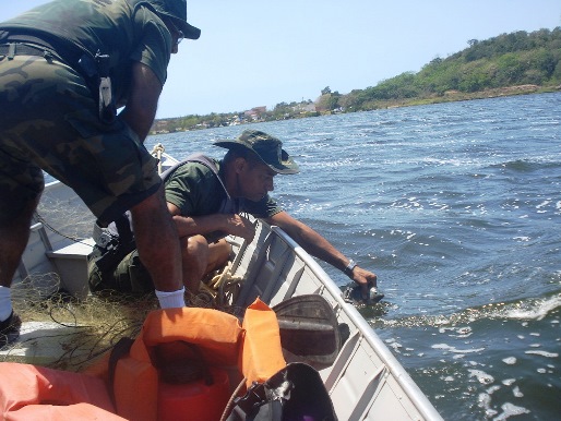 soltura dos peixes lagoa juara