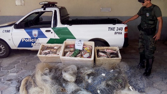 transporte irregular de pescado em São Mateus 2 (1)