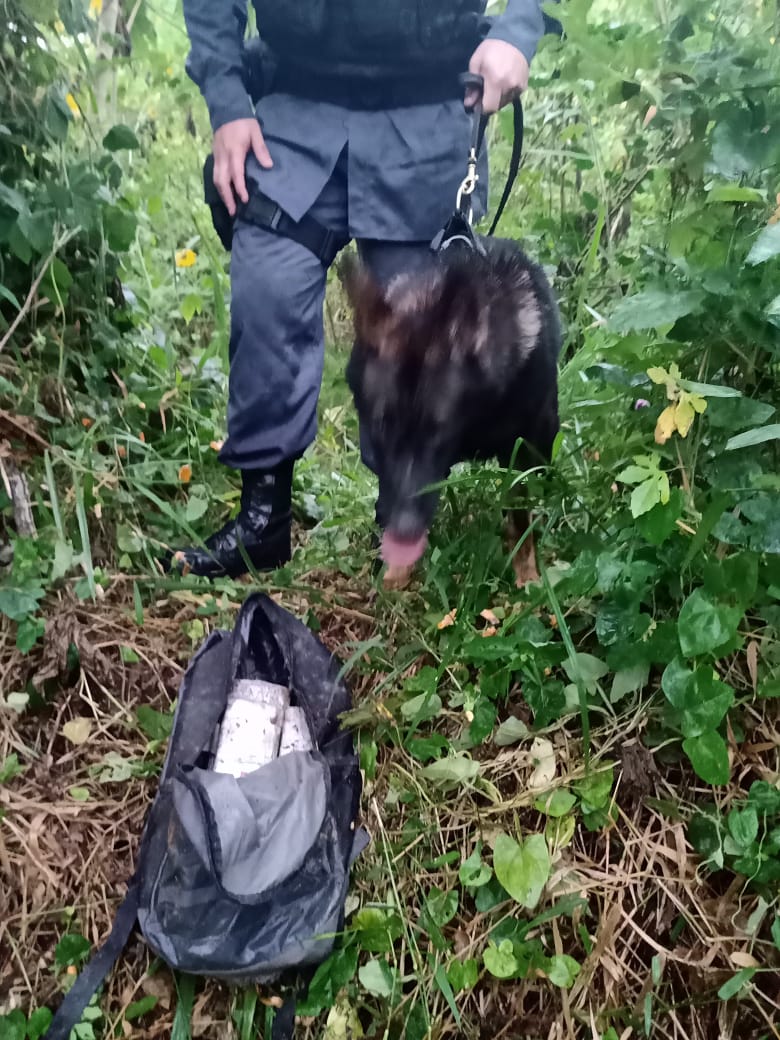 Droga encontrada na mata no Bela Vista2