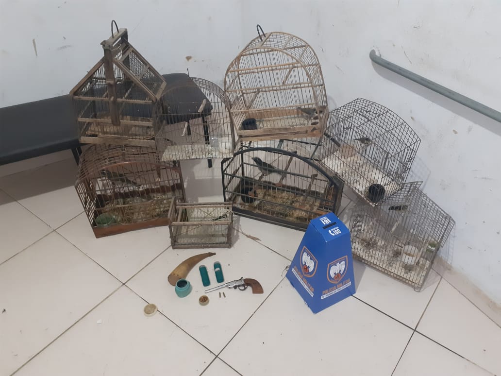 IMG-20191128-WA0055