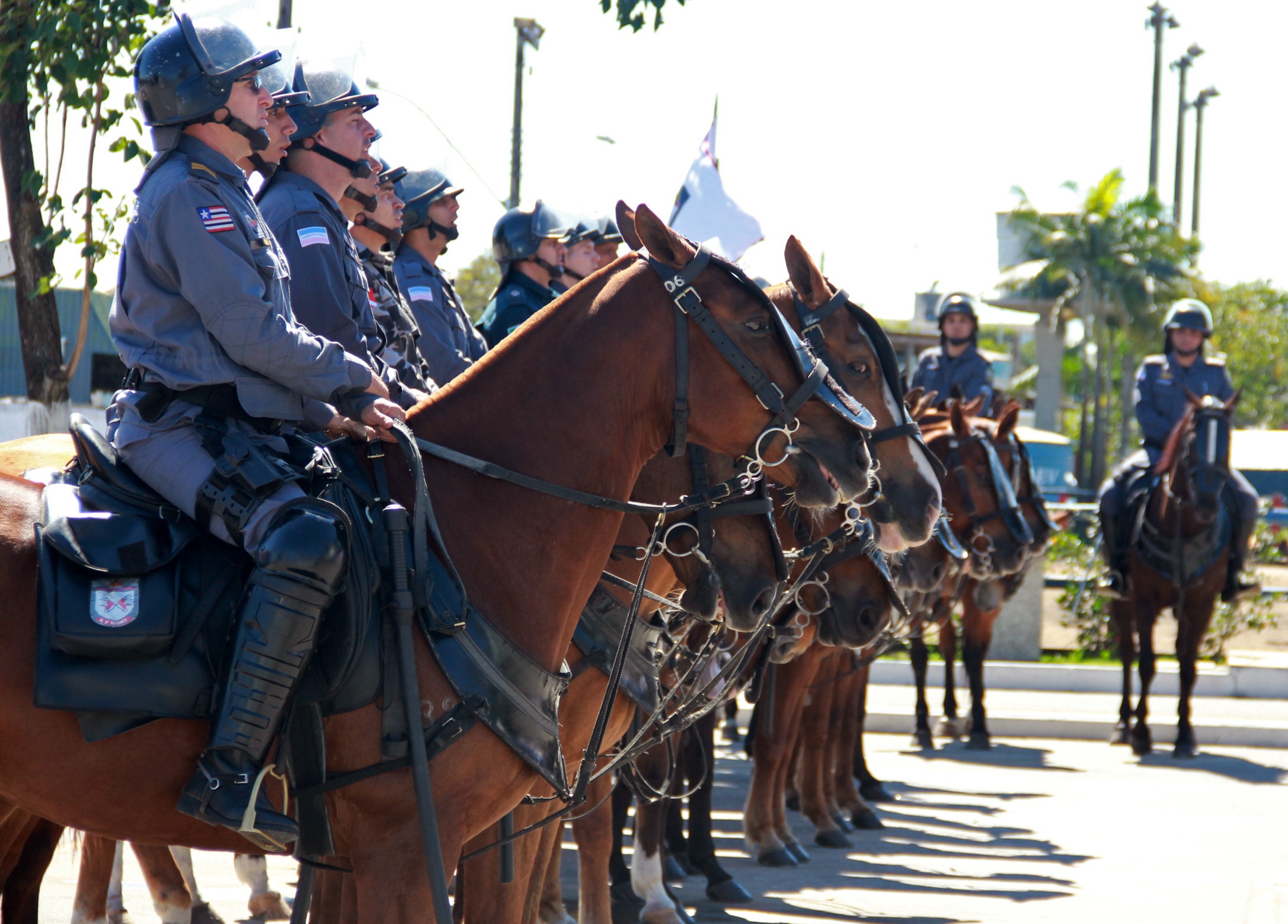 Cavalaria da PM inaugura pista Centauro de Maneabilidade a Cavalo - SSP