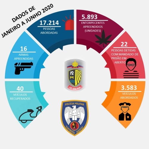 INFOGRÁFICO APREENSÕES JAN A JUN POST