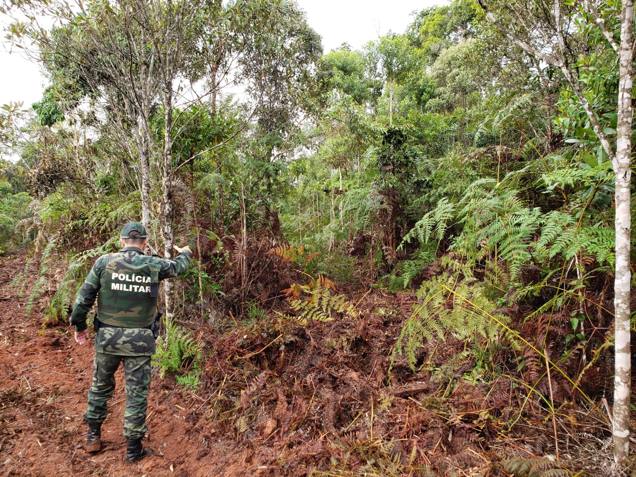 WhatsApp Image 2020-06-18 at 12.04.56