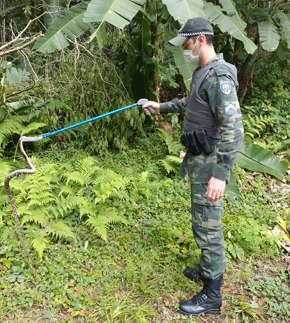 WhatsApp Image 2021-06-23 at 11.07.51